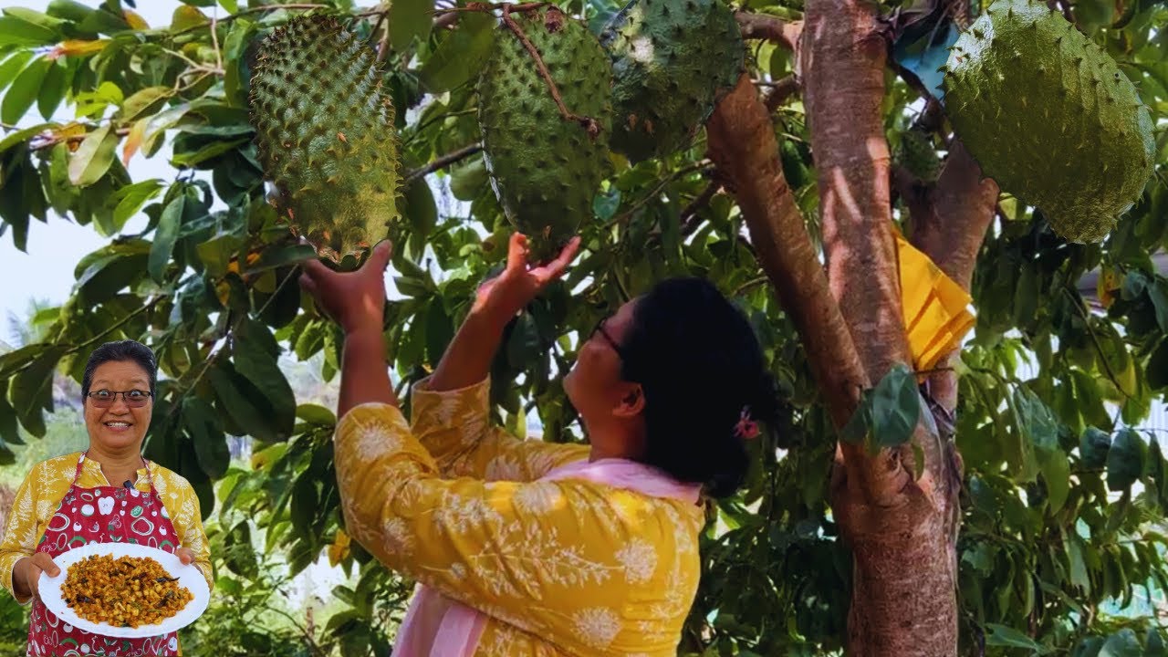 Why People Eat This Soursop Fruit? | Simple Delicious Mullu Seetha Fried Recipe | Cancer!