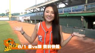 20140801象vs獅 賽前快報
