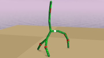 Evolutionary design in Framsticks: maximizing height