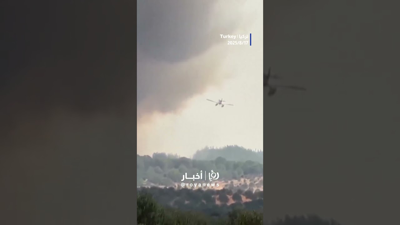 Forest fires continue to spread in northwest Turkey