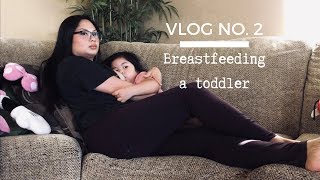 Vlog No 2 Breastfeeding A Toddler Almost 3 Yrs Old