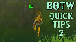 EASY Pro Gamer Climbing Strat — BOTW Speedrunning Quick Tip [2] by The Tony Express 2,006 views 1 year ago 2 minutes, 17 seconds