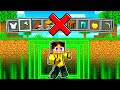 PROVO A FINIRE MINECRAFT SENZA SPACCARE BLOCCHI