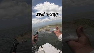 Searching for big trout #portmansfield #rgv #fyp #fishing #lagunamadre #redfish #arroyocity