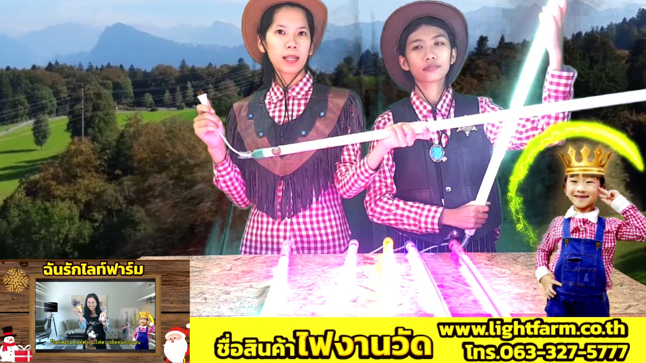 ไฟงานวัด หลอดนีออนสี ไฟตกแต่ง  งานวัด งานรื่นเริง วันออกพรรษา ลอยกระทง