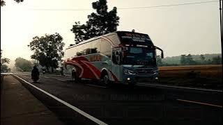 Story wa bus mira terbaru ‼️ PO. EKA MIRA