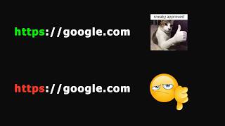 How Does the Browser Know the Website Is Real?