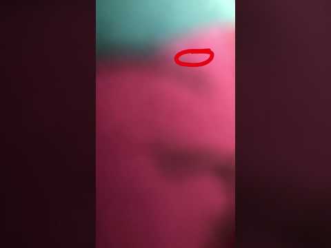 I Ditent Wanna Do The Dance