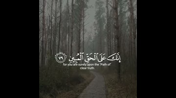 أرح سمعك تلاوه هادئه تريح القلب والعقل بصوت عبدالمجيد هلال.