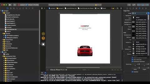 Changing Splash Screen ( iOS ) - Dwt Listing – Directory & Listing React Native App