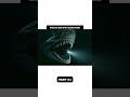 Could the Megalodon Still Be Hiding in the Ocean? 😨 | Ocean Documantry