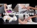 PFLEGEROUTINE FÜR HUNDE 🐶 | BADEN, FELLPFLEGE, KRALLEN, AUGEN & OHREN