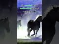 Sergeant Reckless — The War Horse Hero #Animalwarheros#animalherosinwar#didyouknowfacts#viralshorts