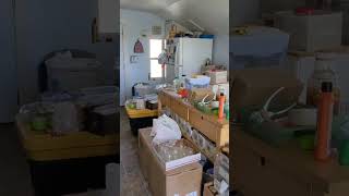 Beginning home renovations by Life Prepared 151 views 3 weeks ago 10 minutes, 36 seconds