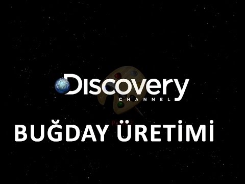 Discovery Channel Nasıl Yapılır Belgeseli (Buğday) Türkçe Dublaj