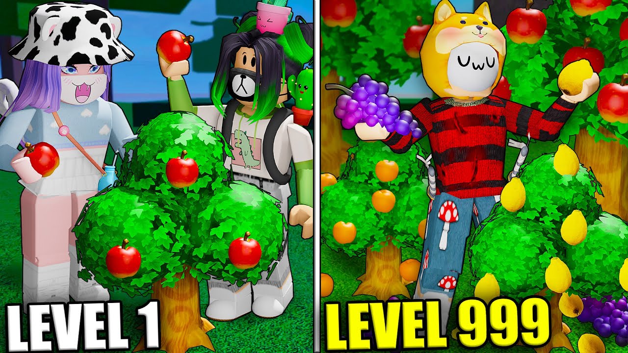 ТАЙКУН - САД МЕЧТЫ!