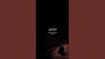 قالوا لا توجل إنا نبشرك بغلامٍ عليم - القارئ : احمد النفيس - سورة الحجر #tiktok #quran_h2o