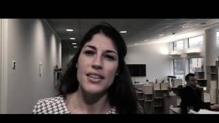 Stephanie Vogelius Introduction to DiSC Model