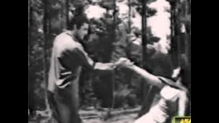 IRENE PARVEEN - TUMHI HO MEHBOOB MERE - AAINA -