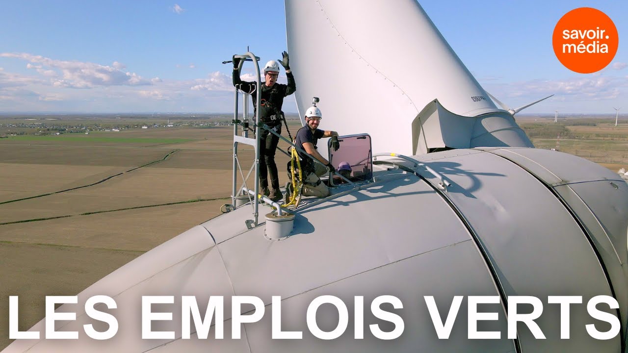 Les emplois verts - Facteurs de risque, saison 3