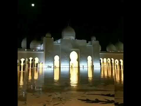 فأراد رب ك أن يبل غا أشده ما ويستخرجا كنزهما بصوت الشيخ عبدالعزيز العسيري