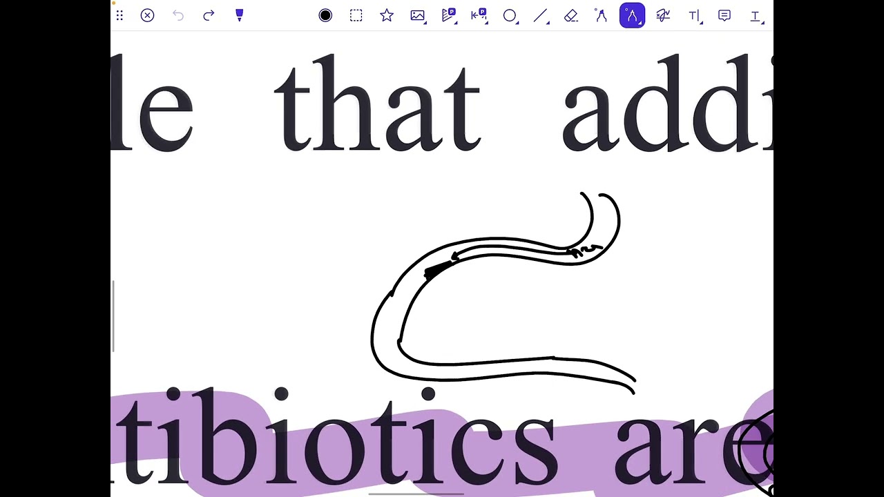 Pharmaceutical chemistry(Aminoglycosides) شرح عضوية الوزاري مرحلة رابعة صيدلة