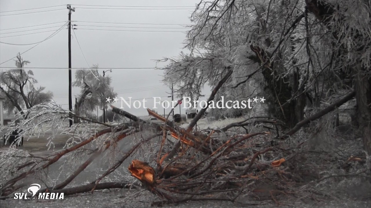 Phillip McGee Gage, Oklahoma/Shattuck, Oklahoma Crews Working/Trees