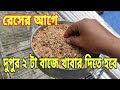 কবুতরকে কখন খাবার খাওয়াতে হবে