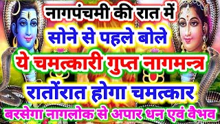 नागपंचमी की रात में बोले ये चमत्कारी गुप्त नागमन्त्र रातोंरात होगा चमत्कार,बरसेगा अपार धन एवं वैभव??