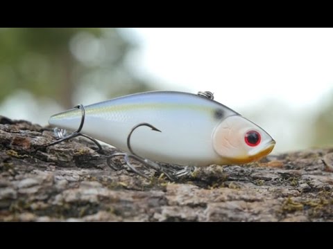 Lipless Cranking For Fall Bass With The Lucky Craft LV 200 