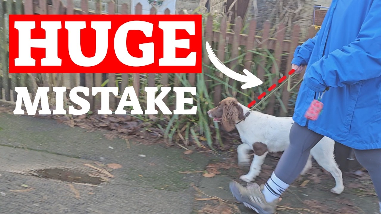 The FASTEST Way To STOP Your Dog Pulling (Guaranteed)