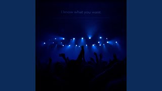 I Know What You Want - Burdy