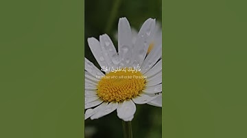 Read and reflect. ‏سورة مريم #quranic #quran #islam #allah #قران