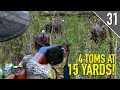4 GOBBLERS COME CHARGING IN! - They Roosted HOW FAR Away? - | Iowa Public Land Turkey Hunting