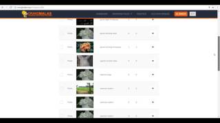 video tutorial auto like di instagram orangmalas.us screenshot 5