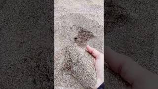 Ищу золото в песке   #beach  #travel