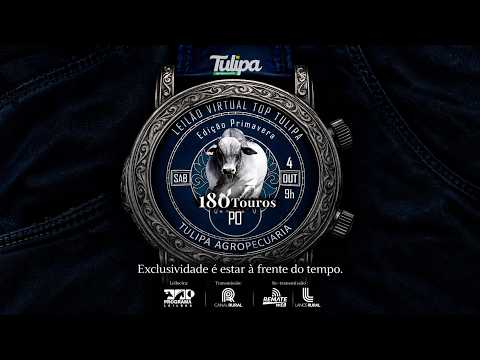 LOTE 52   TUL 4914