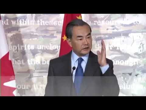 魏萊仁上身外長王毅 表欺糊台灣啦