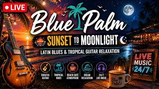 🔴 LIVE • Blue Palm 🌅 Sunset to Moonlight • Latin Blues & Tropical Guitar Relaxation