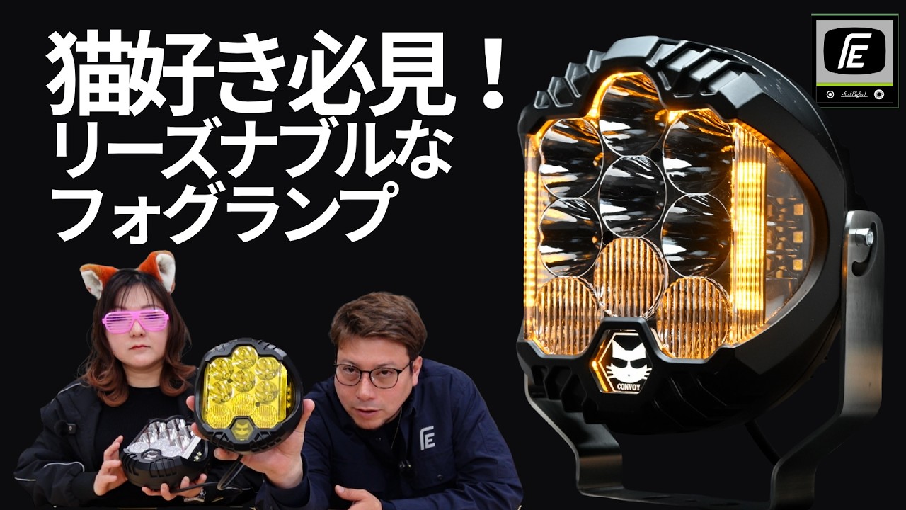 ちぴねこ A Must-See for Cat Lovers!! Cats Glowing in Affordable Lights! FE