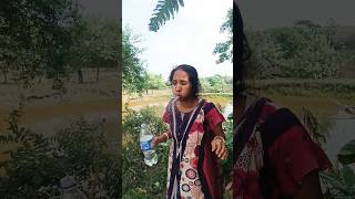 Survival skill: water purification in the wild#camping #survival #outdoors#bushcraft