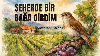 Seherde Bir Bağa Girdim Anatolian Placebo