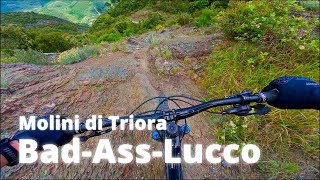 Bad-Ass-Lucco Molini Mtb