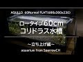 60cmロータイプコリドラス水槽～立ち上げ編