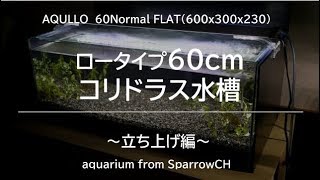 60cmロータイプコリドラス水槽～立ち上げ編