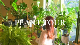 [PLANT TOUR] 10 Recommended Houseplant Interiors for Beginners | Living with Houseplants