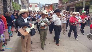 Procesión de Músicos Fiesta de Santa Cecilia, Xilitla