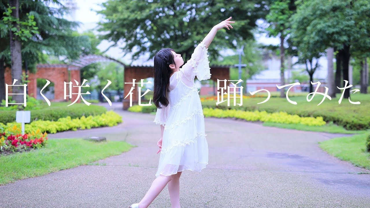 小倉 唯 白く咲く花 踊ってみた 4k 30fps Youtube