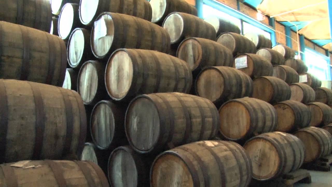 Proceso de Elaboración del Tequila YouTube