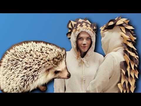 Video: How To Make A Hedgehog Costume